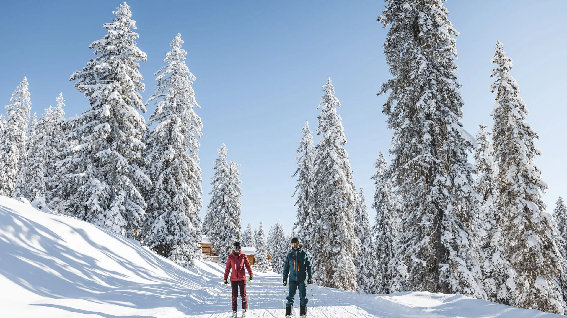 Zwei Skifahrer fahren durch eine verschneite Winterlandschaft umgeben von Tannen.